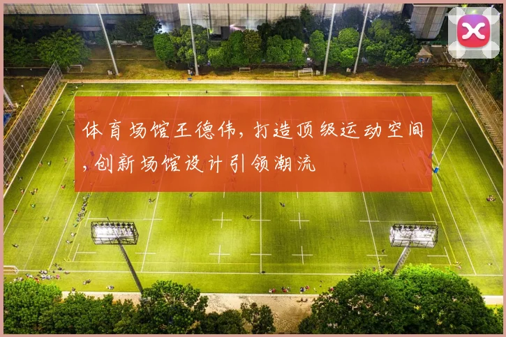 体育场馆王德伟,打造顶级运动空间,创新场馆设计引领潮流