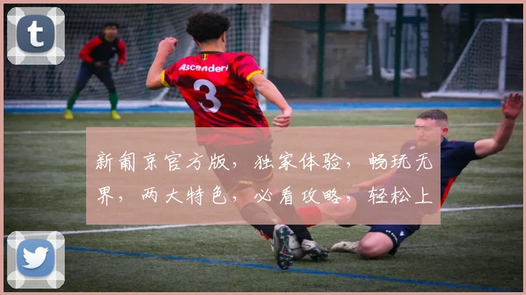 新匍京官方版，独家体验，畅玩无界，两大特色，必看攻略，轻松上手
